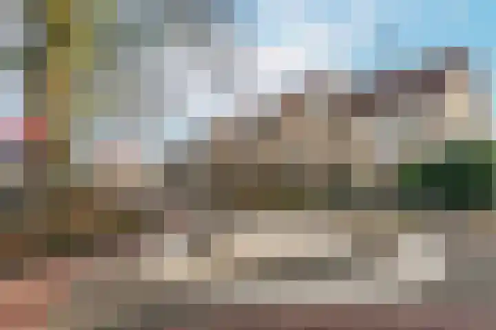 Roef 6 Wijk bij Duurstede thumbnail 42