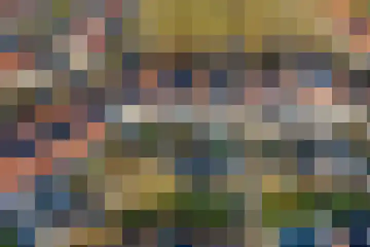 Roef 6 Wijk bij Duurstede thumbnail 43