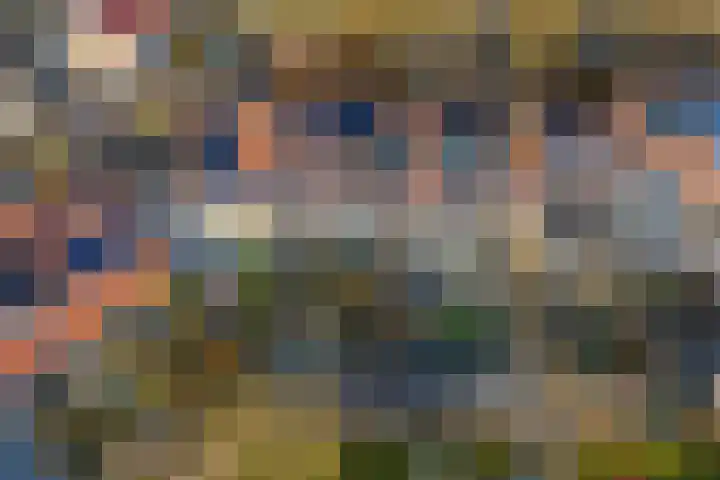 Roef 6 Wijk bij Duurstede thumbnail 44
