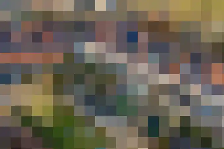 Roef 6 Wijk bij Duurstede thumbnail 46