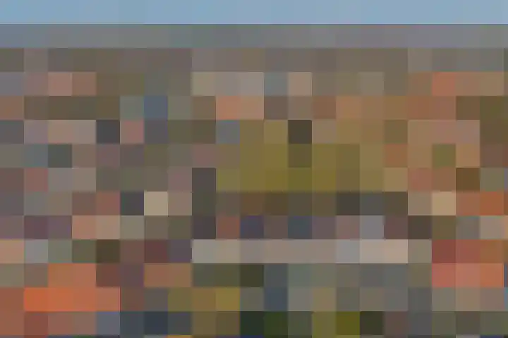 Roef 6 Wijk bij Duurstede thumbnail 47