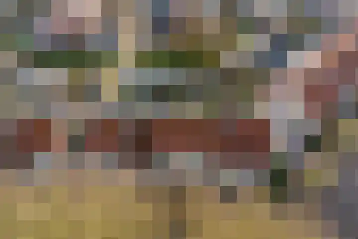 Roef 6 Wijk bij Duurstede thumbnail 48