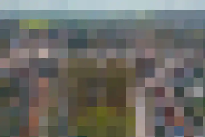 Roef 6 Wijk bij Duurstede thumbnail 49