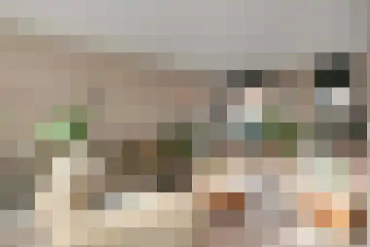 Roef 6 Wijk bij Duurstede thumbnail 5