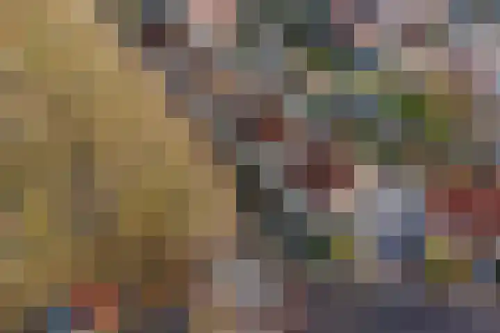Roef 6 Wijk bij Duurstede thumbnail 51