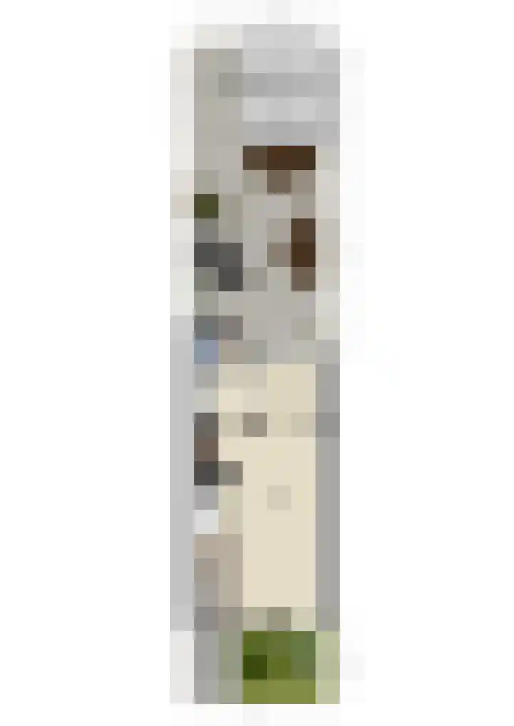 Roef 6 Wijk bij Duurstede thumbnail 54