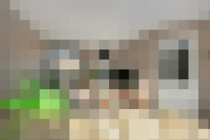 Roef 6 Wijk bij Duurstede thumbnail 6
