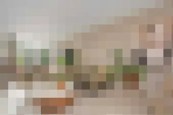 Roef 6 Wijk bij Duurstede thumbnail 7