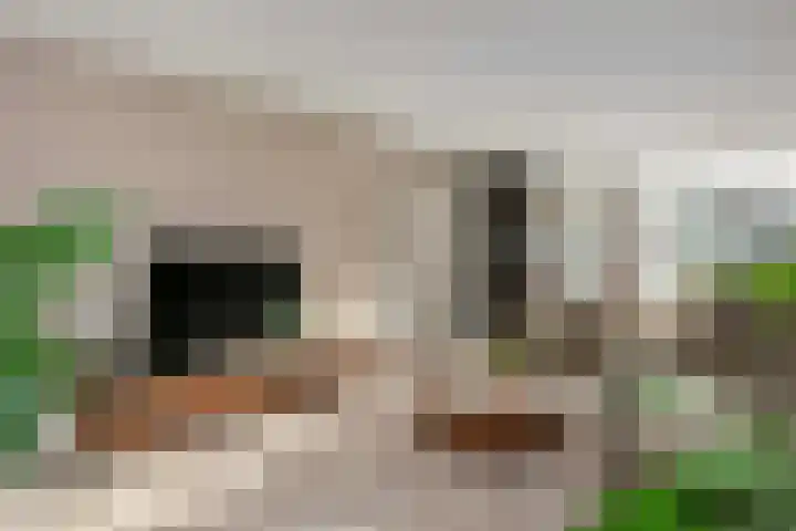 Roef 6 Wijk bij Duurstede thumbnail 8