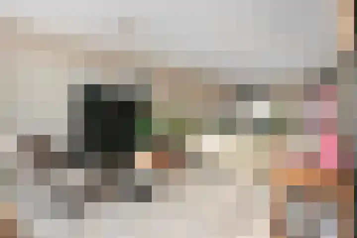 Roef 6 Wijk bij Duurstede thumbnail 9
