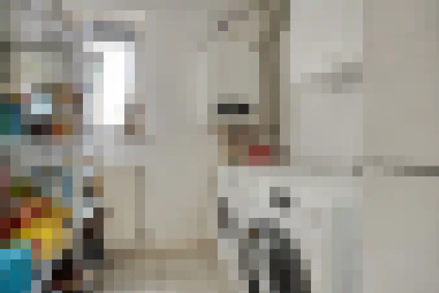 Roefke 20 Joure thumbnail 17