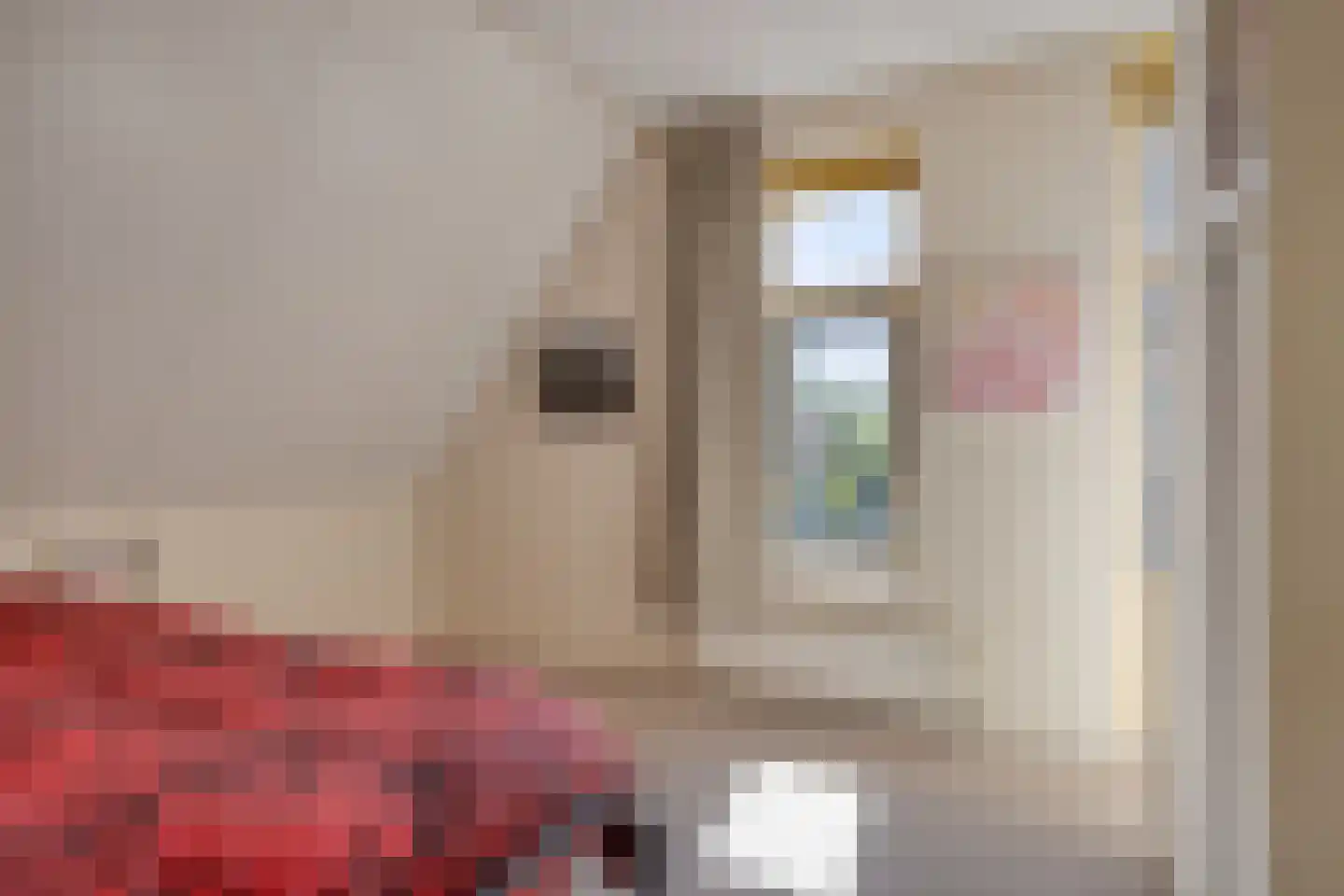Roefke 20 Joure thumbnail 26