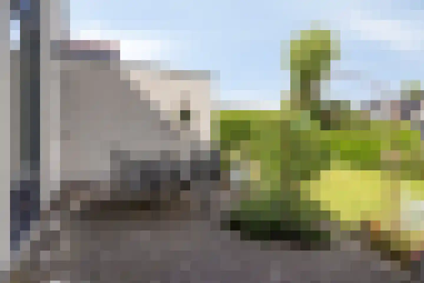 Roefke 20 Joure thumbnail 30