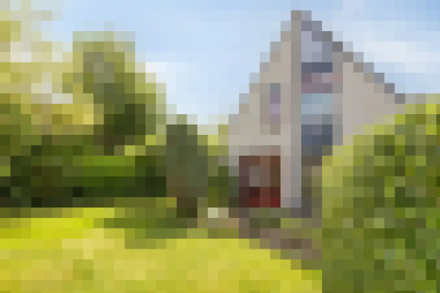 Roefke 20 Joure thumbnail 31