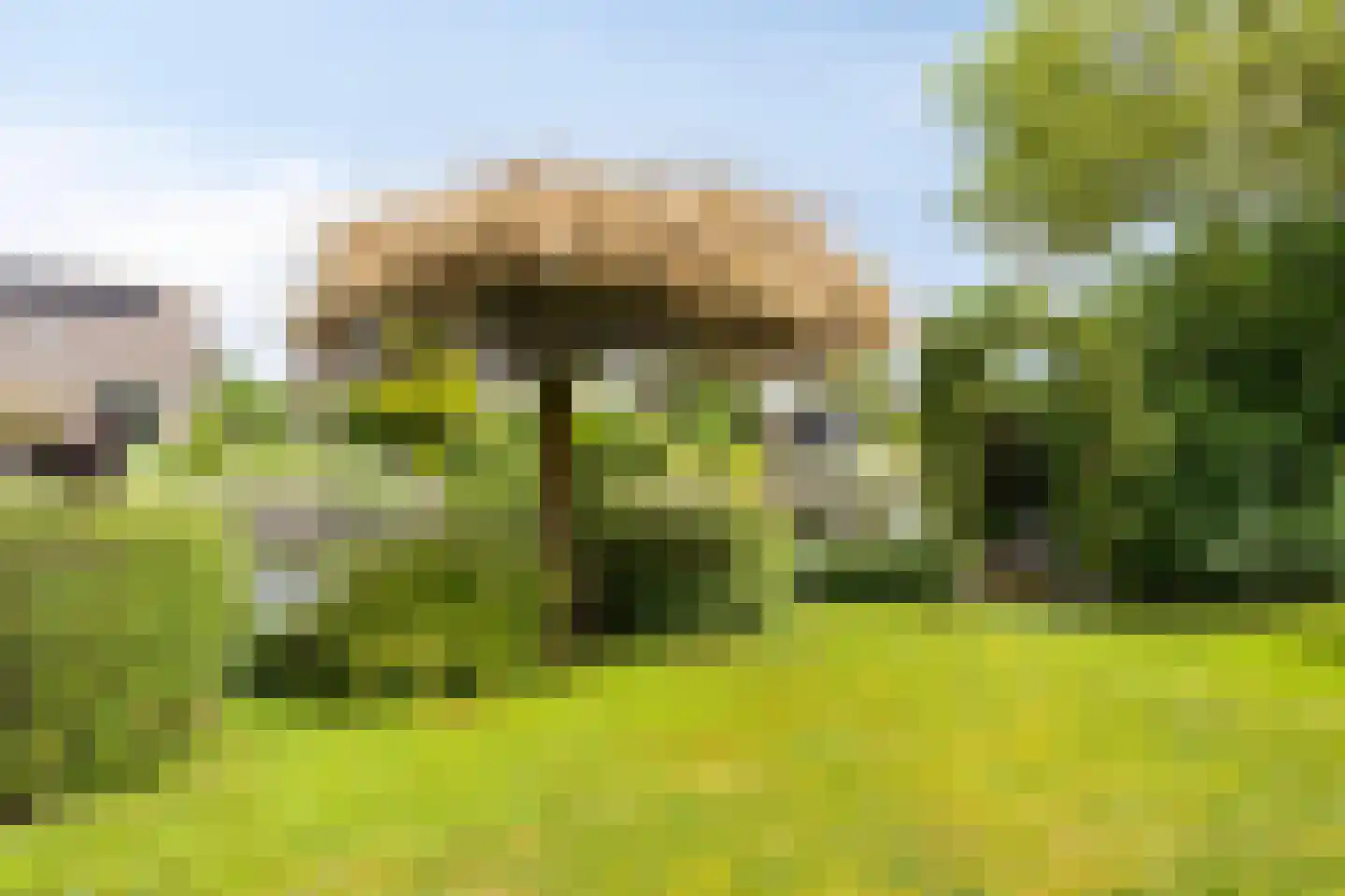 Roefke 20 Joure thumbnail 32