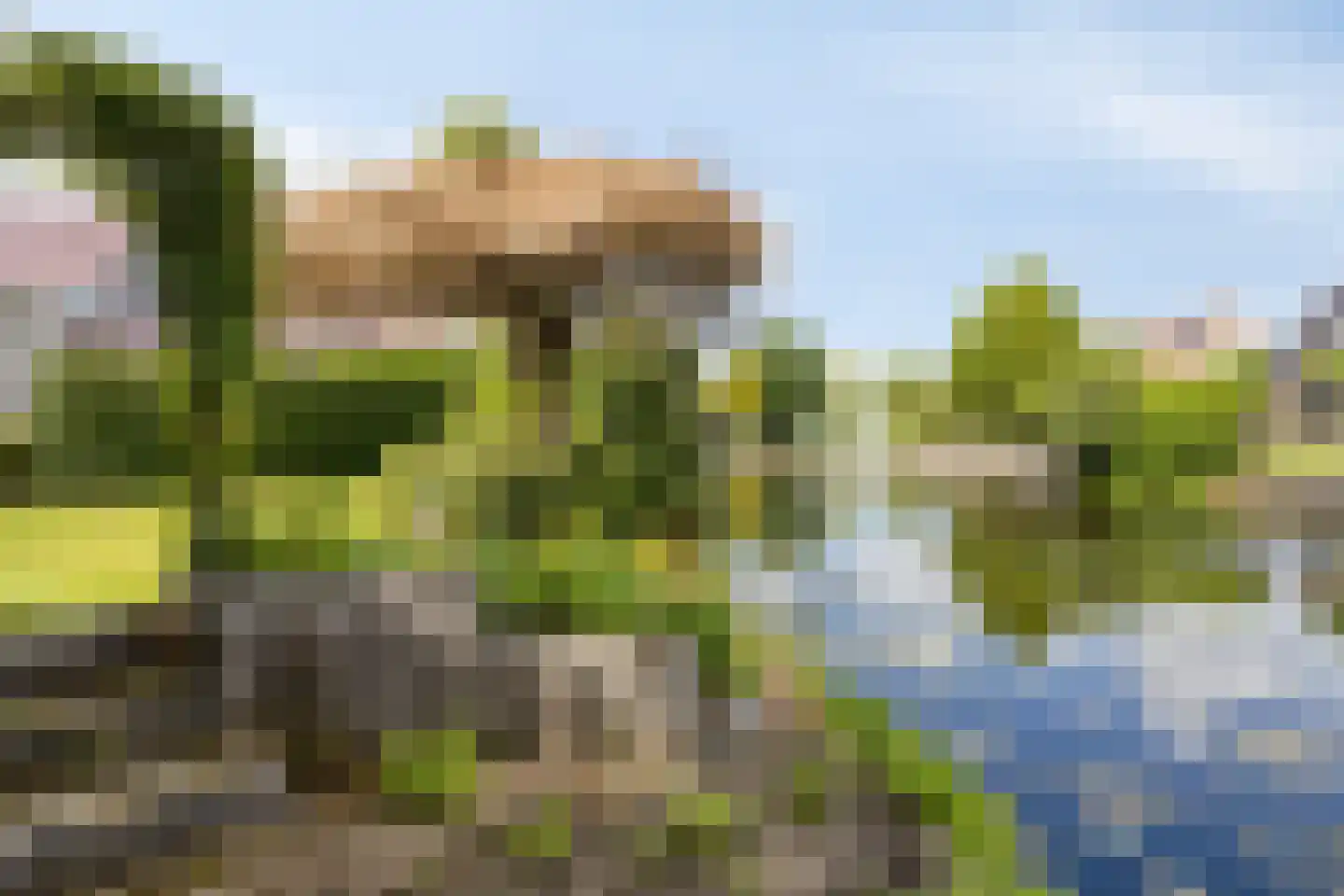 Roefke 20 Joure thumbnail 33