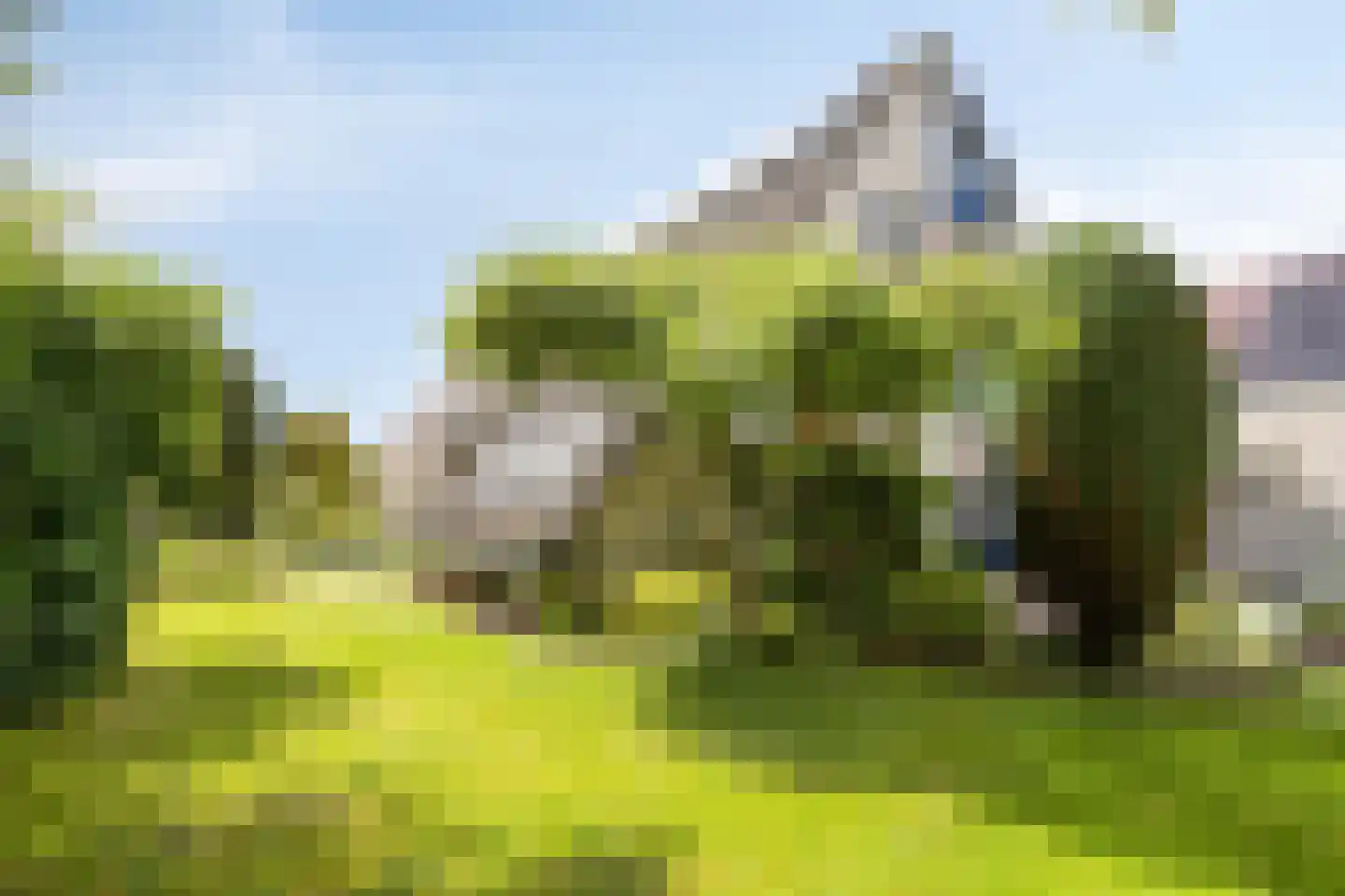 Roefke 20 Joure thumbnail 35