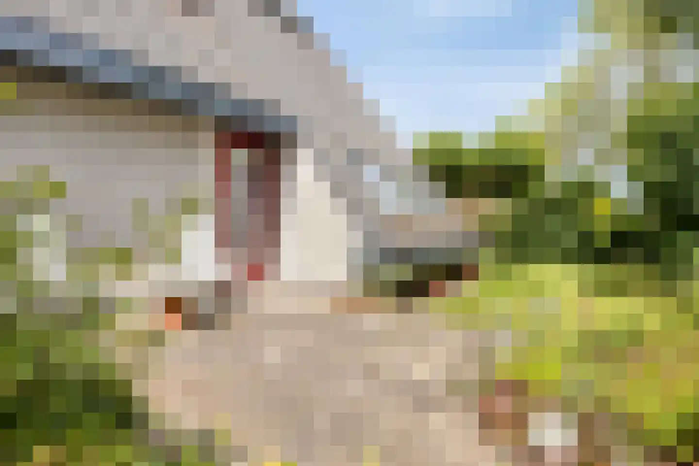 Roefke 20 Joure thumbnail 37
