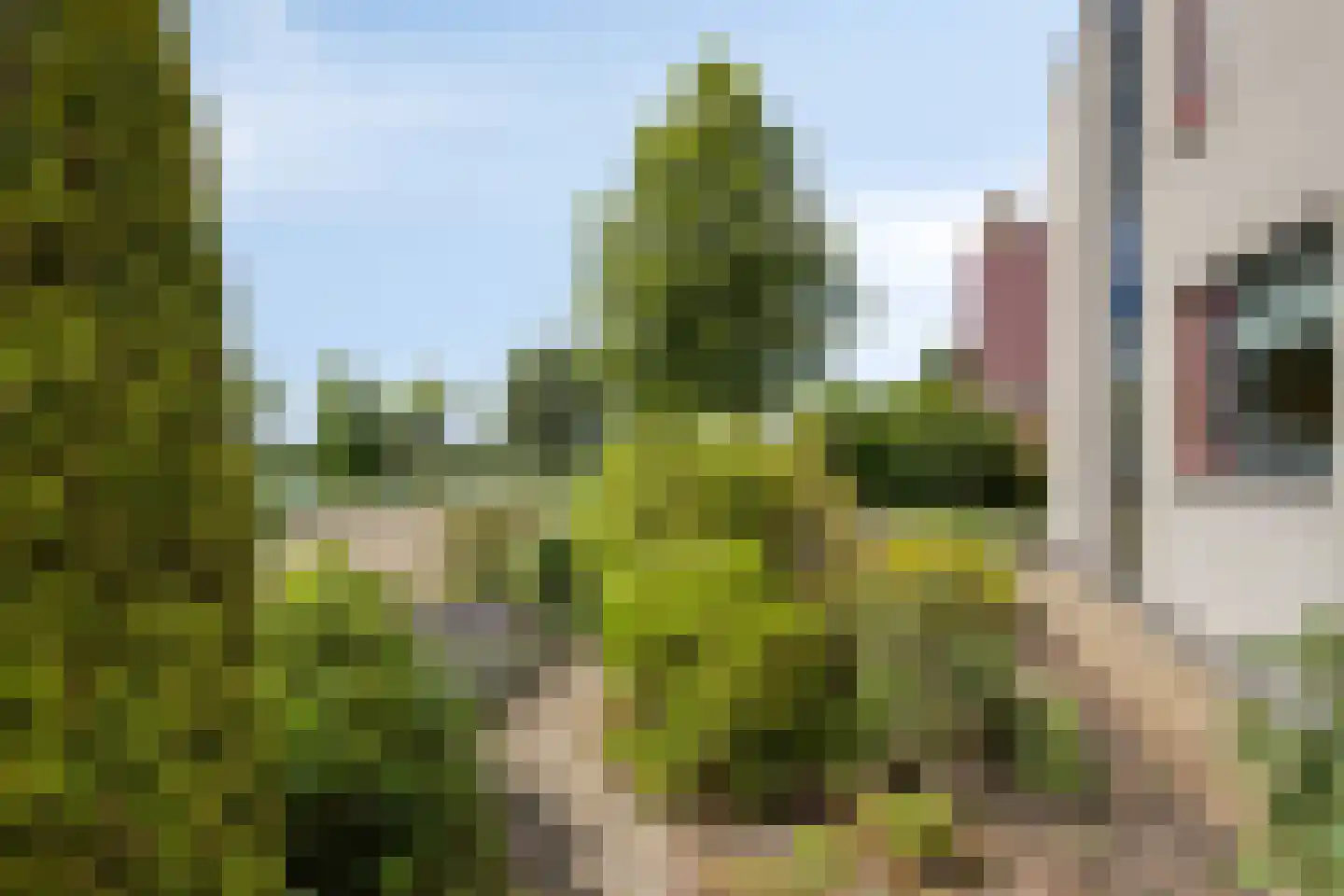 Roefke 20 Joure thumbnail 38