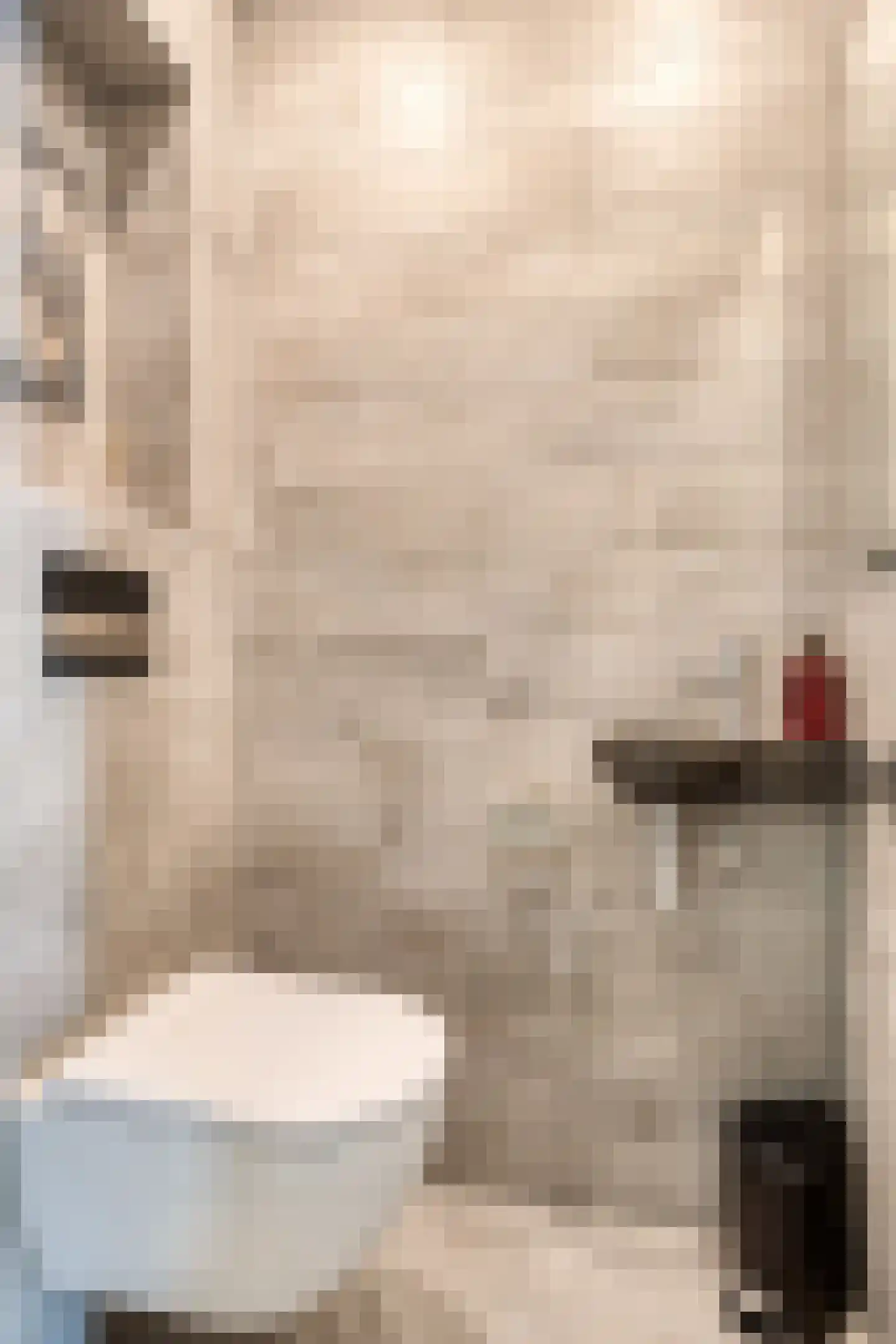 Roefke 20 Joure thumbnail 8