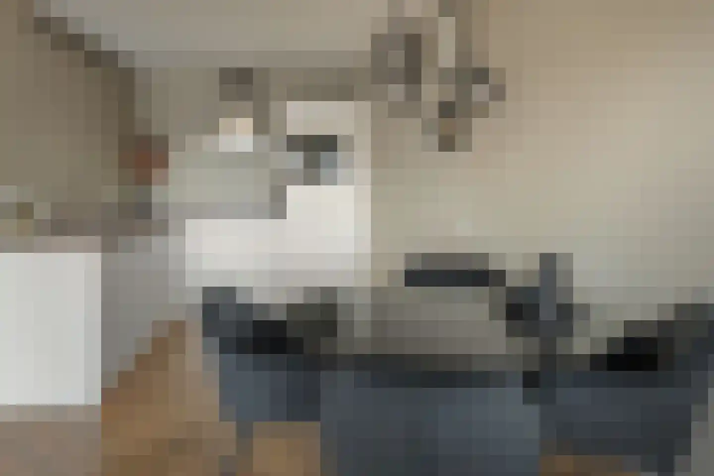 Roefke 33 Joure thumbnail 4