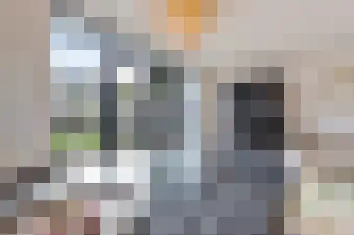 Roefke 5 Joure thumbnail 10