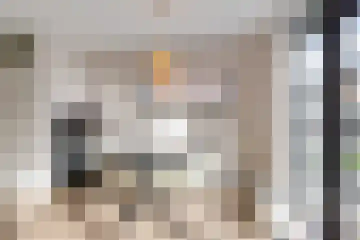 Roefke 5 Joure thumbnail 11