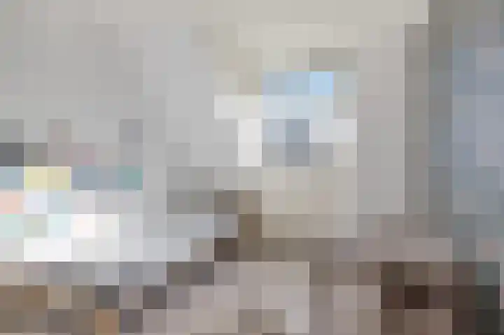 Roefke 5 Joure thumbnail 23