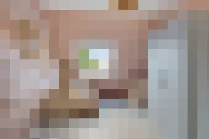 Roefke 5 Joure thumbnail 28
