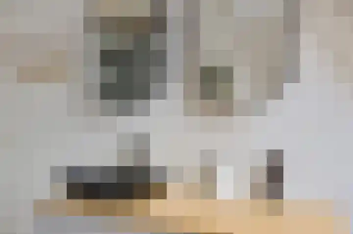Roefke 5 Joure thumbnail 35