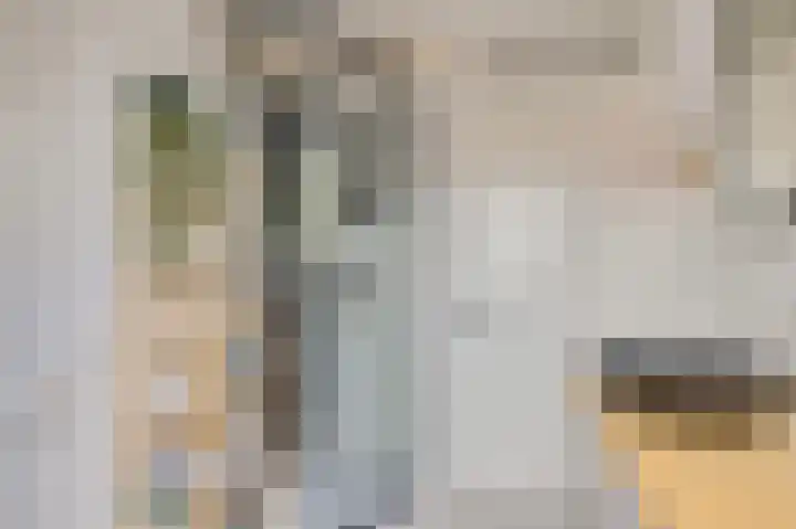 Roefke 5 Joure thumbnail 36