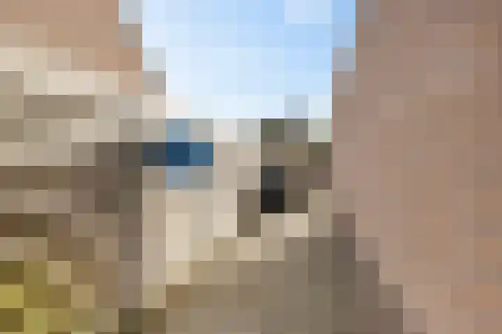 Roefke 5 Joure thumbnail 37