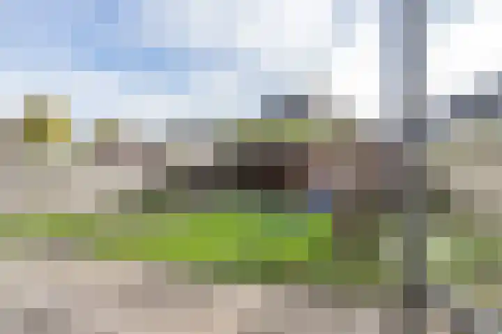 Roefke 5 Joure thumbnail 38