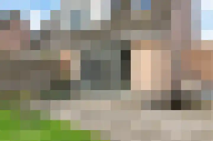 Roefke 5 Joure thumbnail 39