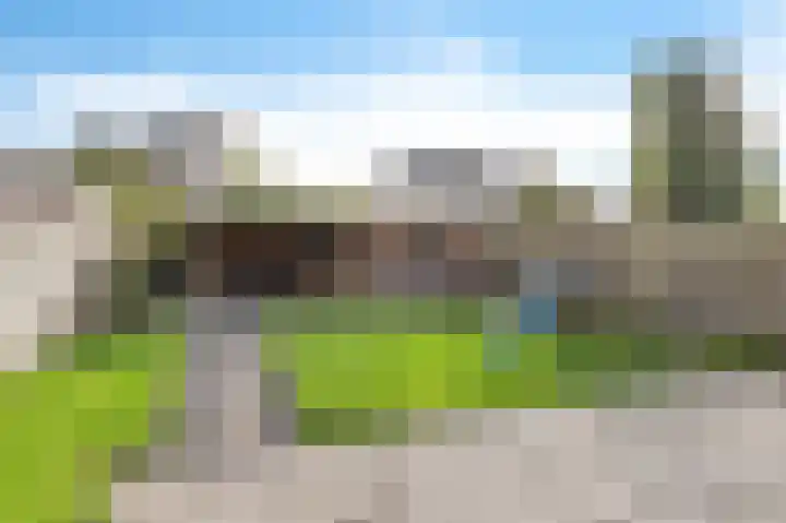 Roefke 5 Joure thumbnail 4