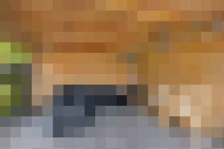 Roefke 5 Joure thumbnail 40