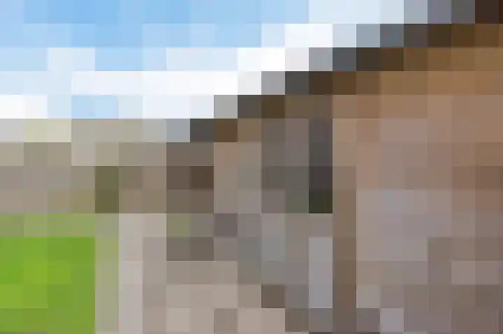 Roefke 5 Joure thumbnail 42