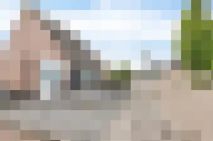 Roefke 5 Joure thumbnail 5