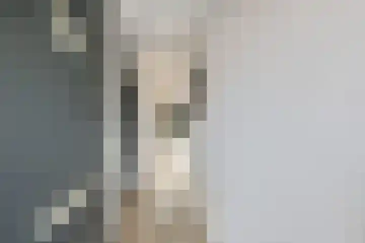 Roefke 5 Joure thumbnail 8