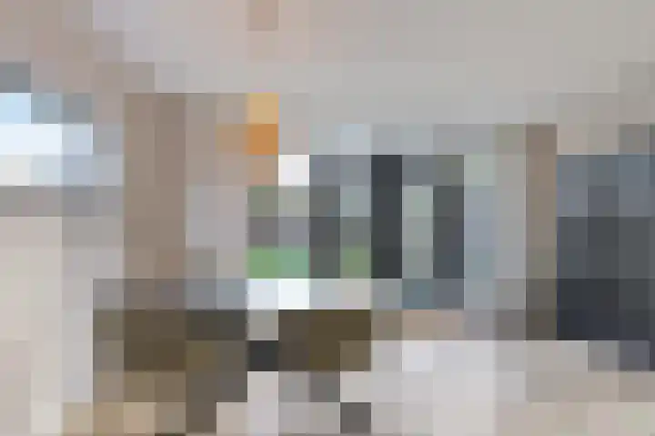 Roefke 5 Joure thumbnail 9