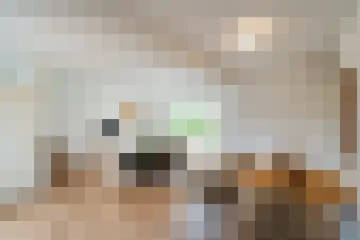 Roefstraat 12 Maasbracht thumbnail 18