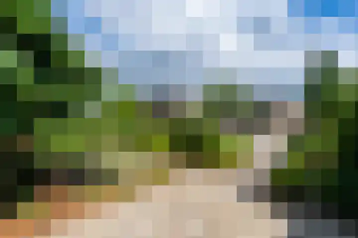 Roefstraat 12 Maasbracht thumbnail 5
