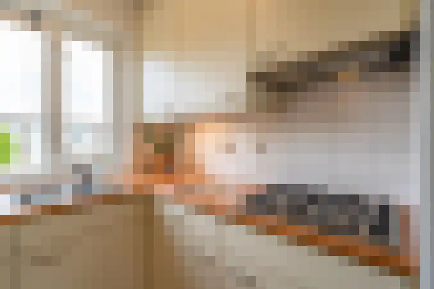 Roefstraat 15 Maasbracht thumbnail 20