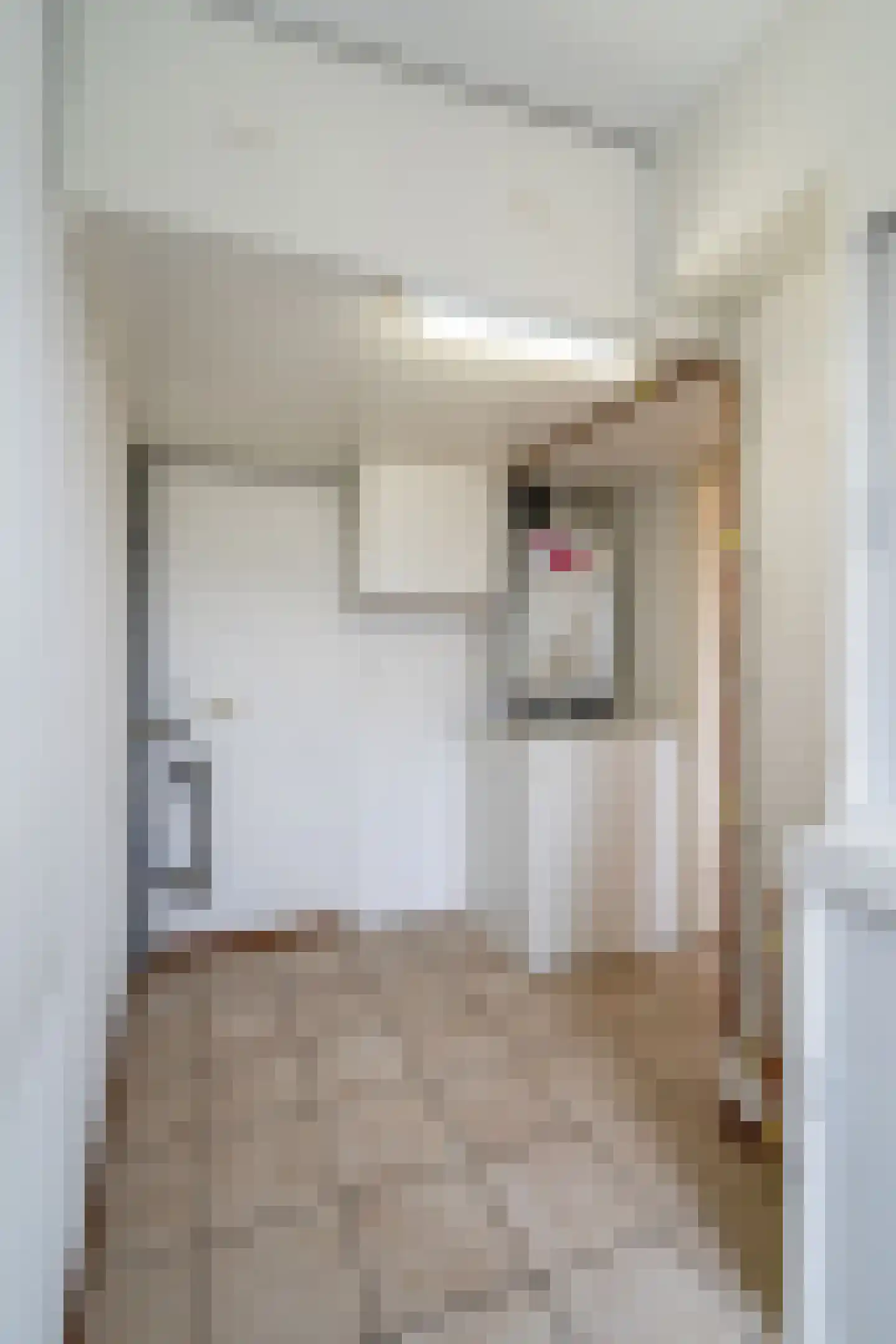 Roefstraat 15 Maasbracht thumbnail 24