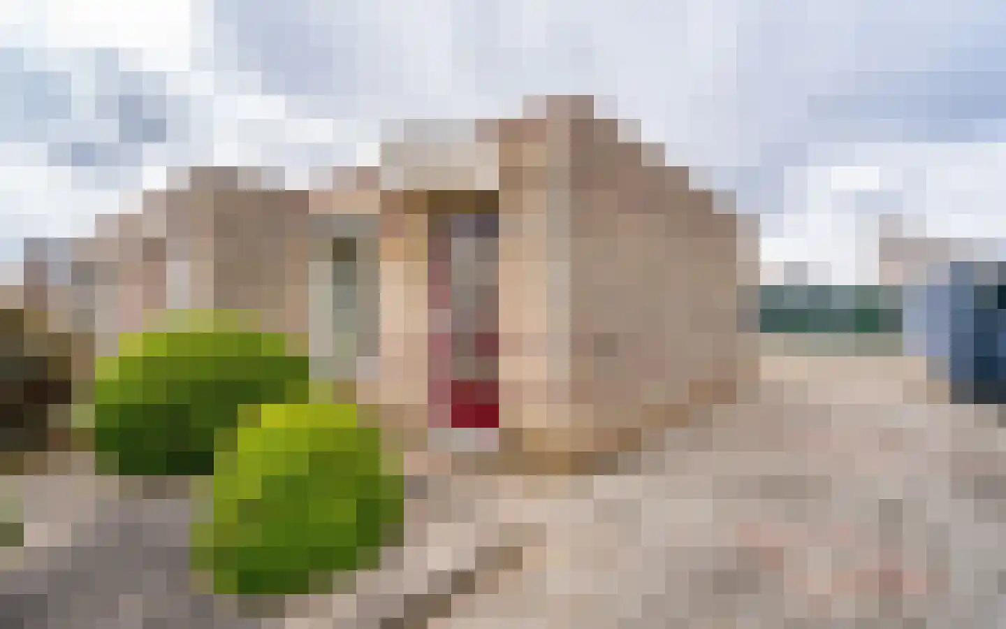 Roefstraat 15 Maasbracht thumbnail 6