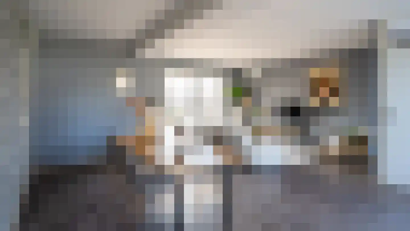 Roefstraat 17 Maasbracht thumbnail 11