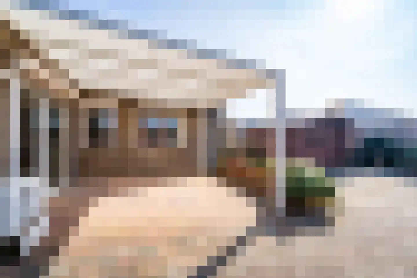 Roefstraat 17 Maasbracht thumbnail 29