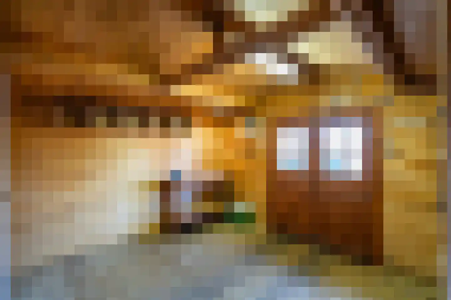 Roefstraat 17 Maasbracht thumbnail 34