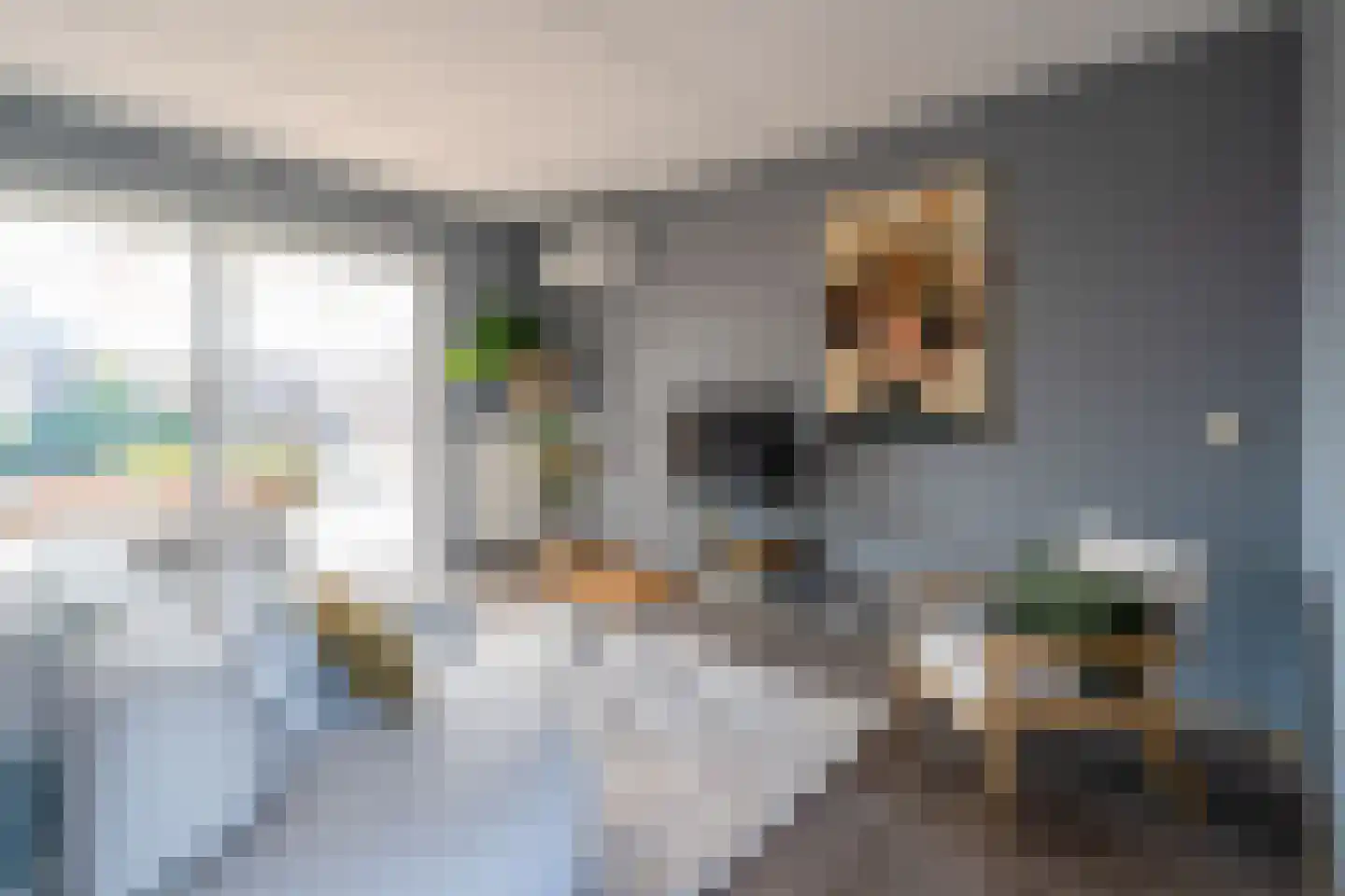 Roefstraat 17 Maasbracht thumbnail 7