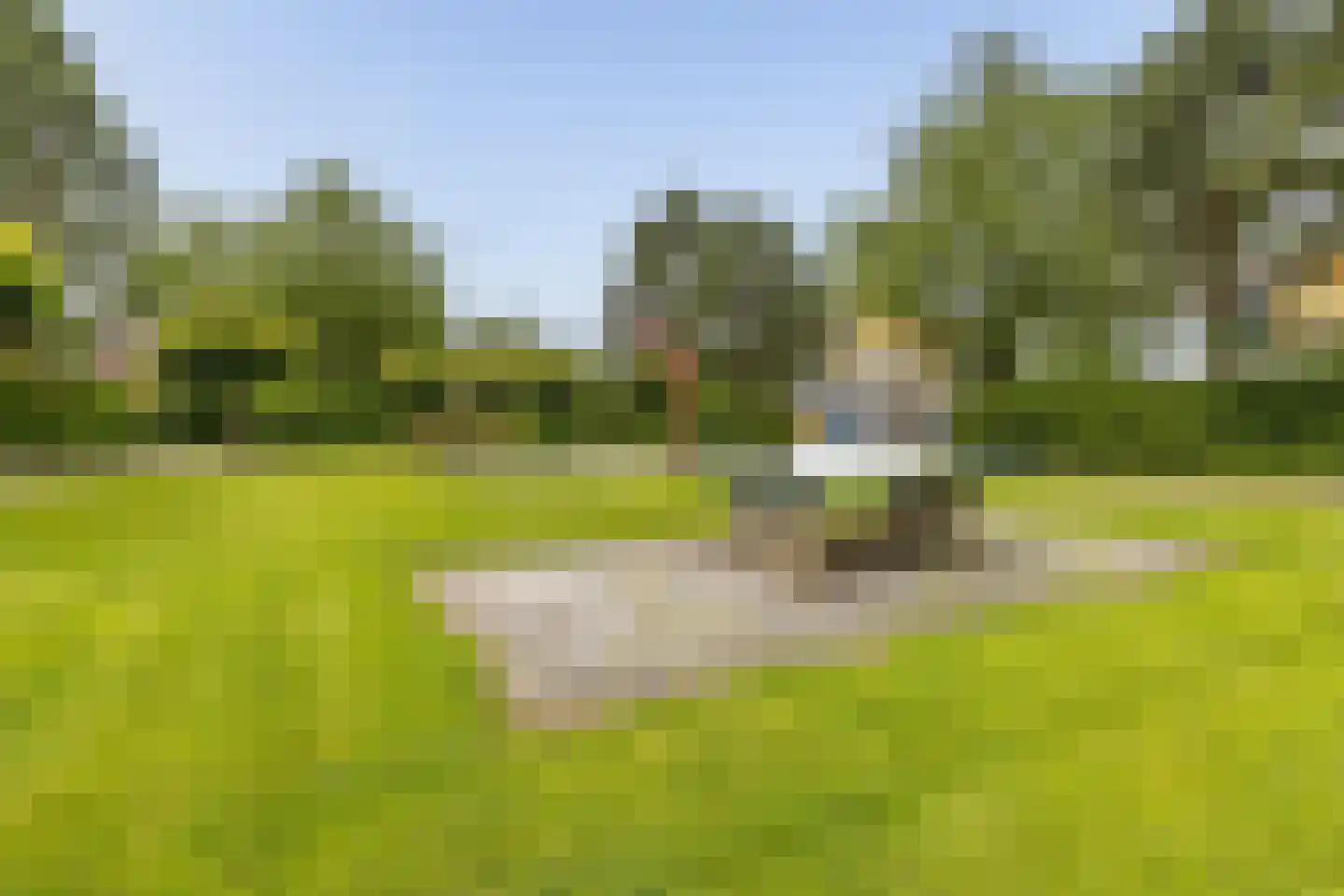 Roegeweg 1 16 Steendam thumbnail 47